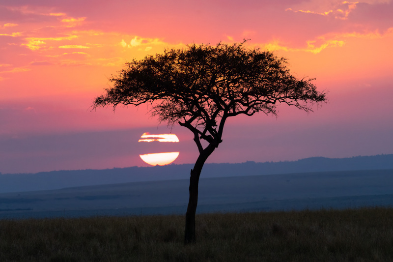 Mara Sunrise