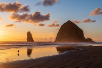 Seagull watches the sunset at Haystack Rock
