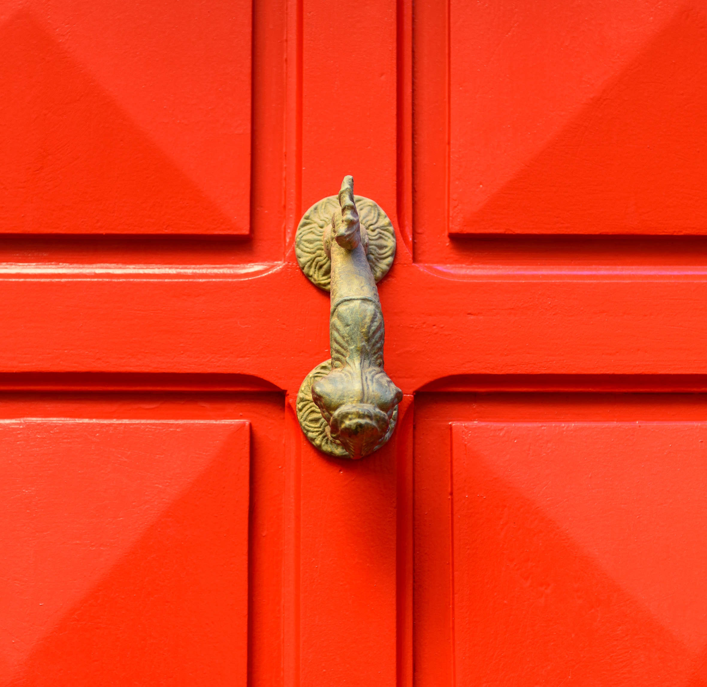 "Fish on Red Door"