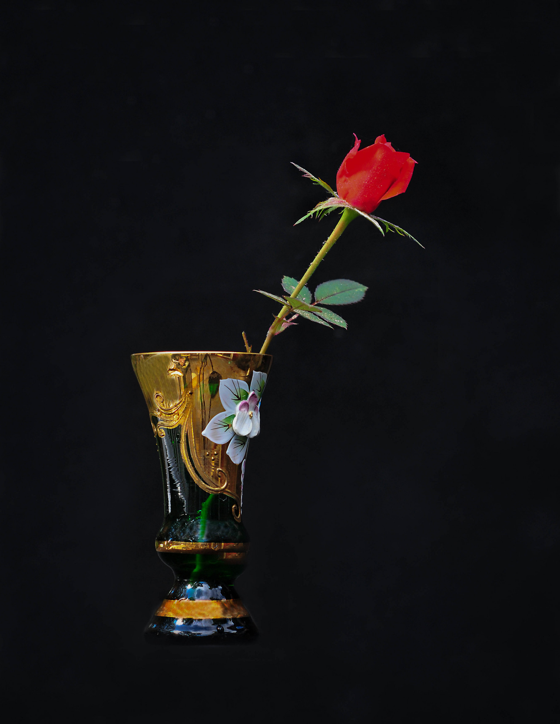 Minature Rose [7691]