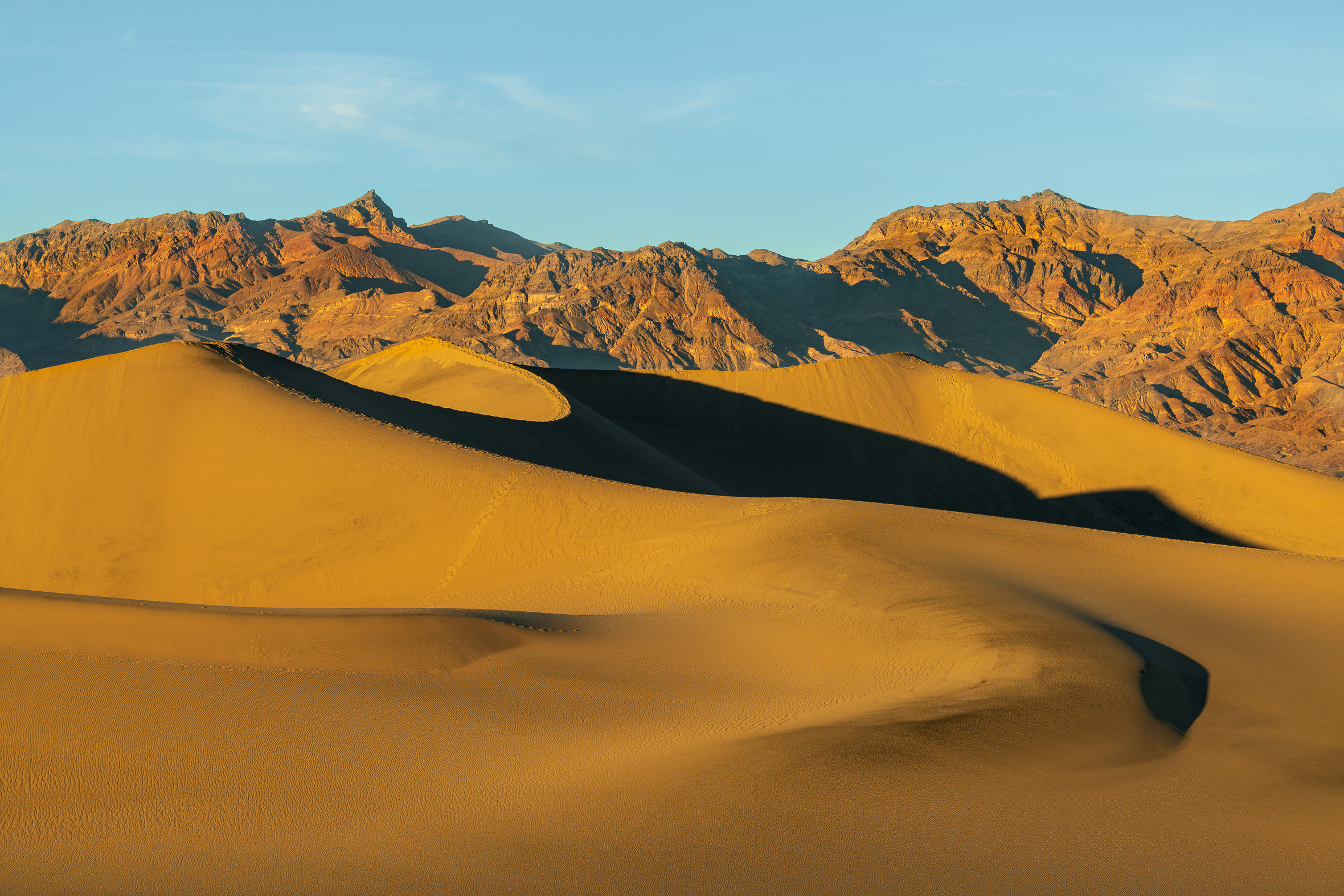 Mesquite Sands Expanse