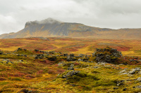 Fall Colors Western Snæfellsnes Peninsula