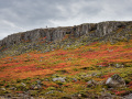 Fall Colors at Gerduberg Cliffs
