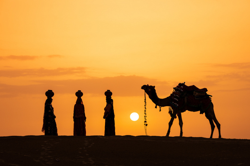 Three Women and a Camel