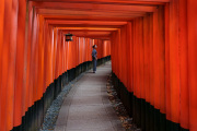 At the gates of Fushimi Inari Shrine