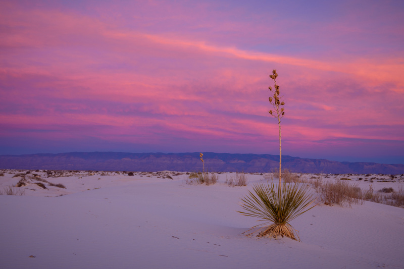 Blue Hour at White Sands NP