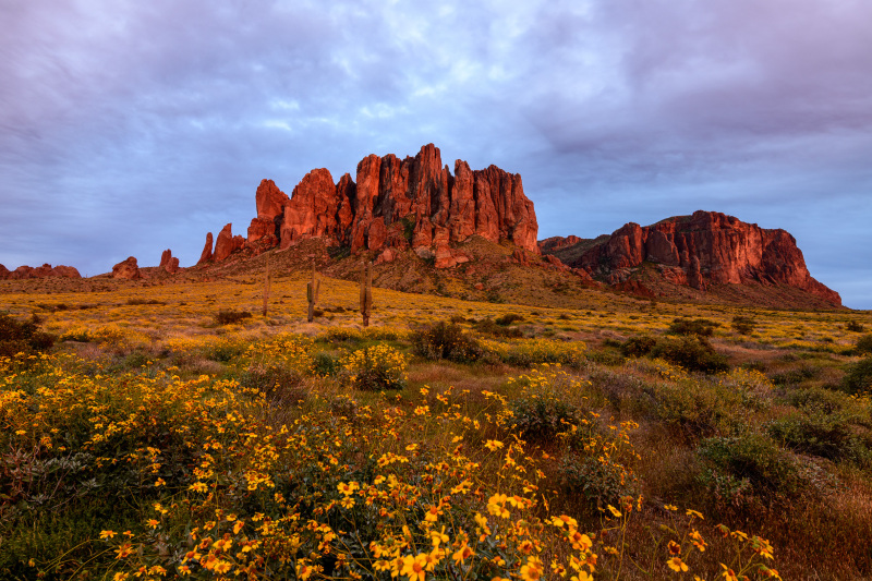 Spring at Superstition Mountain