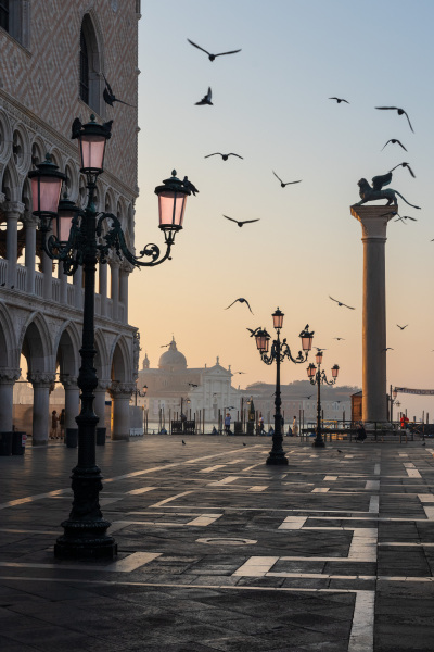 Birds in Venice